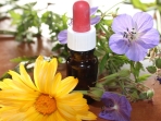 Terapia Floral
